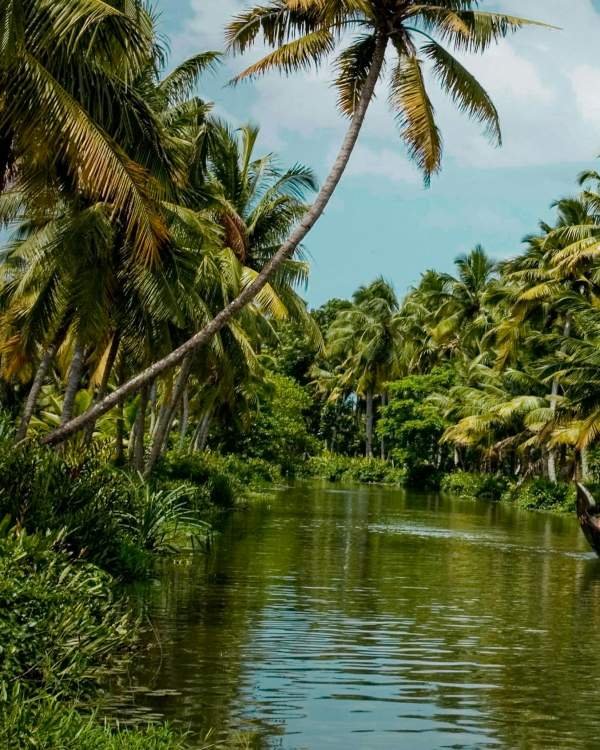 kerala_1758911107423638460